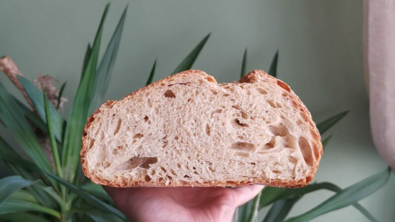 Pane casereccio alveolato senza impasto