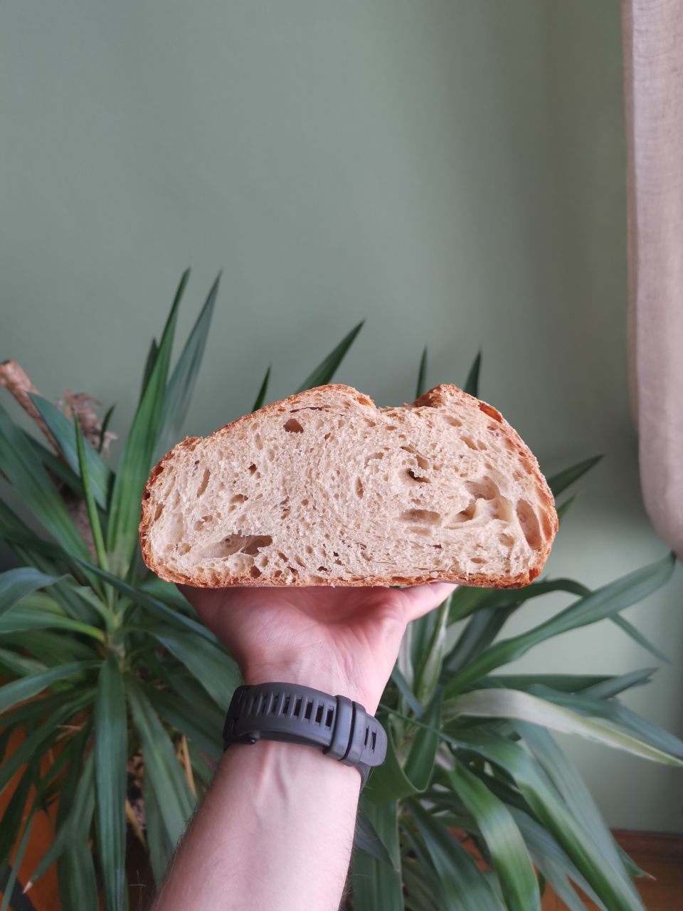 Pane casereccio alveolato senza impasto